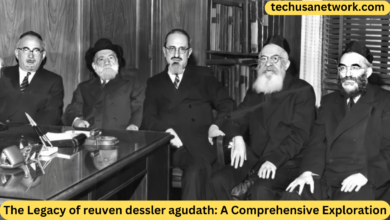 reuven dessler agudath