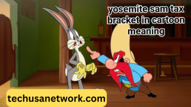 yosemite sam tax bracket in cartoon meaning